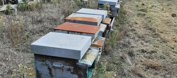 Земельный участок 2730м² в Кашана Терме Лари, Италия № 149501 9