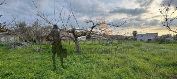 3 bedrooms Apartment in Paceco, Italy No. 213627 24