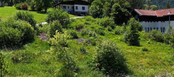  Land in Steinberg am Rofan, Austria No. 208160 2
