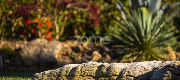 10 Schlafzimmer Haus in Sintra, Portugal, Nr. 164073 37