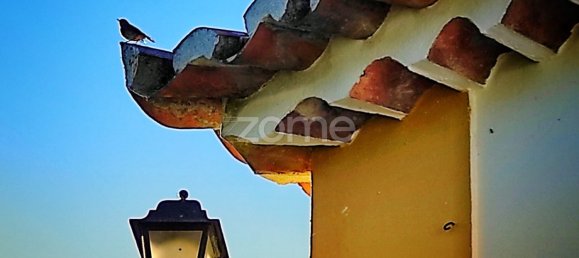 10 Schlafzimmer Haus in Sintra, Portugal, Nr. 164073 38