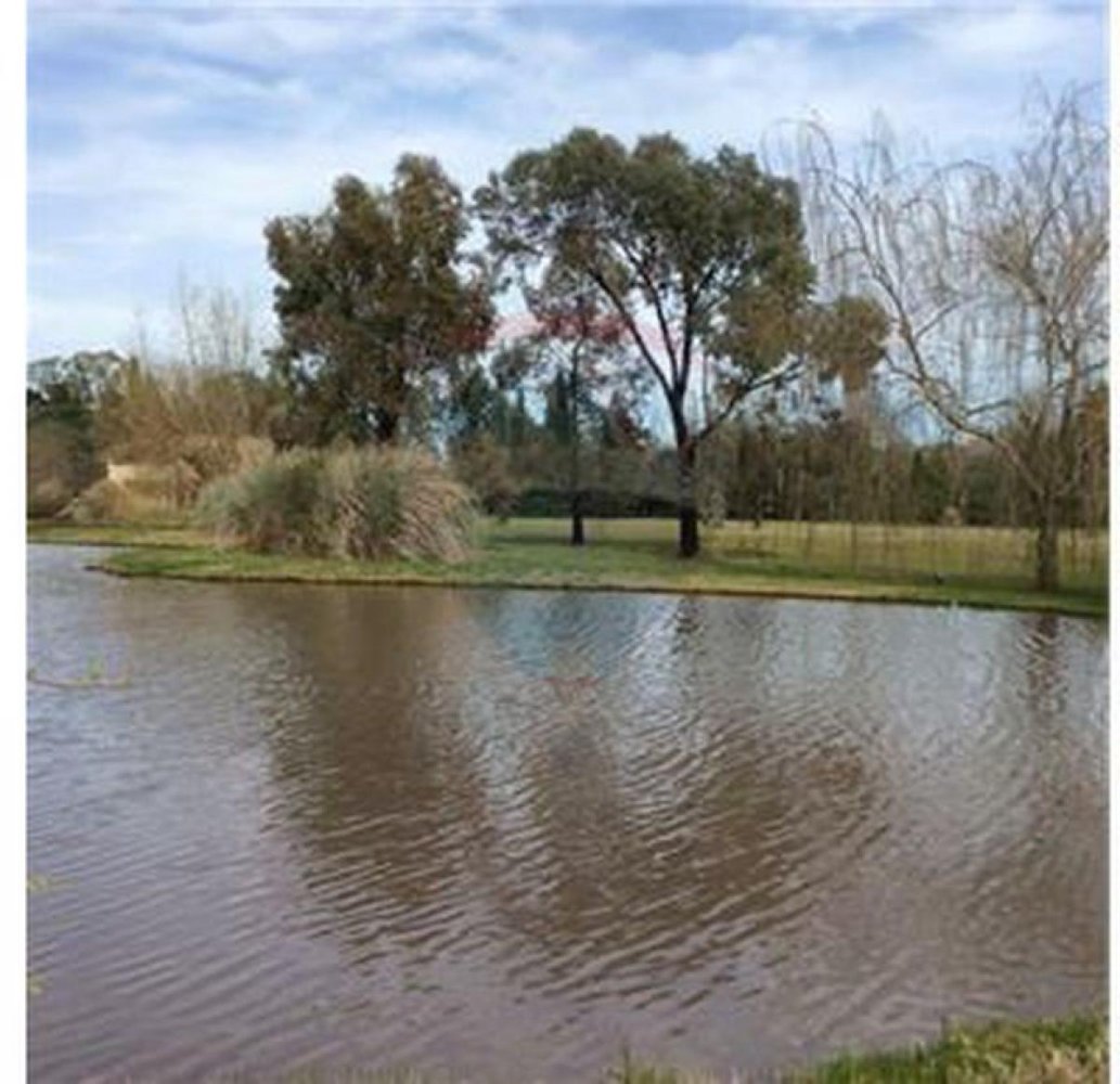  Land in Pilar, Argentina No. 116703