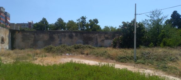 Studio in Trapani, Italy No. 251596 5