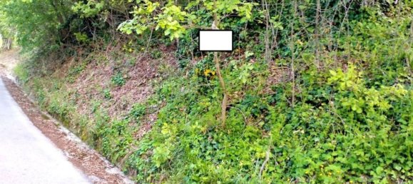 Terrain à Aiello del Sabato, Italy 2726m² No. 309152 2