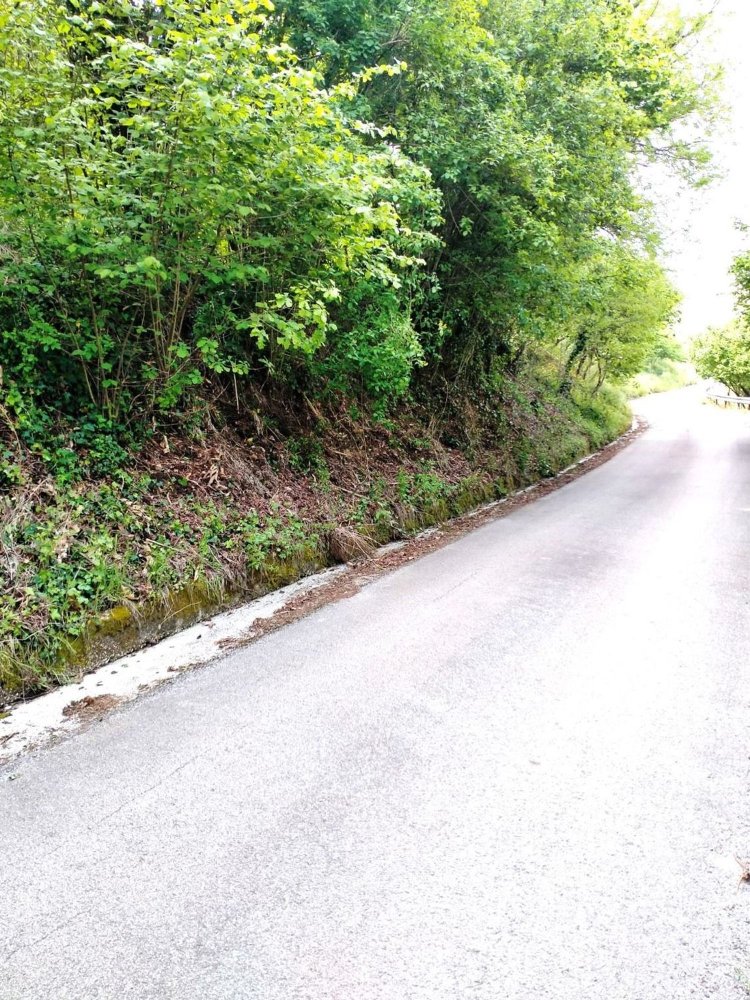 Terrain à Aiello del Sabato, Italy 2726m² No. 309152