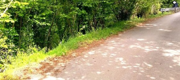 Terrain à Aiello del Sabato, Italy 2726m² No. 309152 3