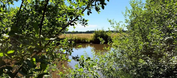 6-Zimmer Bungalow in Bremen, Germany, Nr. 355041 32