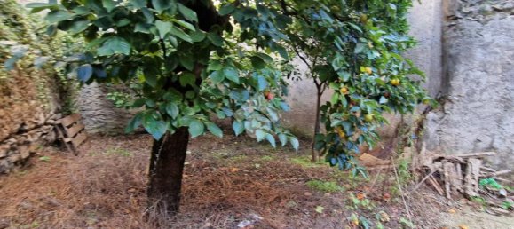 1 bedroom Apartment in Giffoni Sei Casali, Italy No. 310054 8