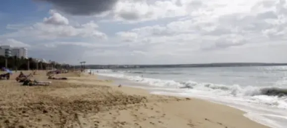 20m² Commercial property in Palma de Majorca, Spain No. 170063 4