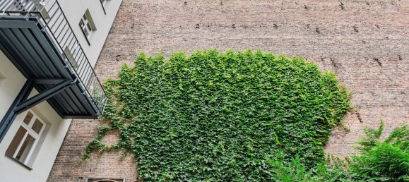 1 غرف نوم شقة في Wedding, Germany رقم 341832 14