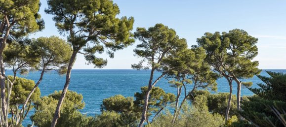 4 bedrooms Villa in Antibes, France No. 687 13