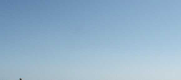 Земельный участок в Морайра, Испания № 141677 5