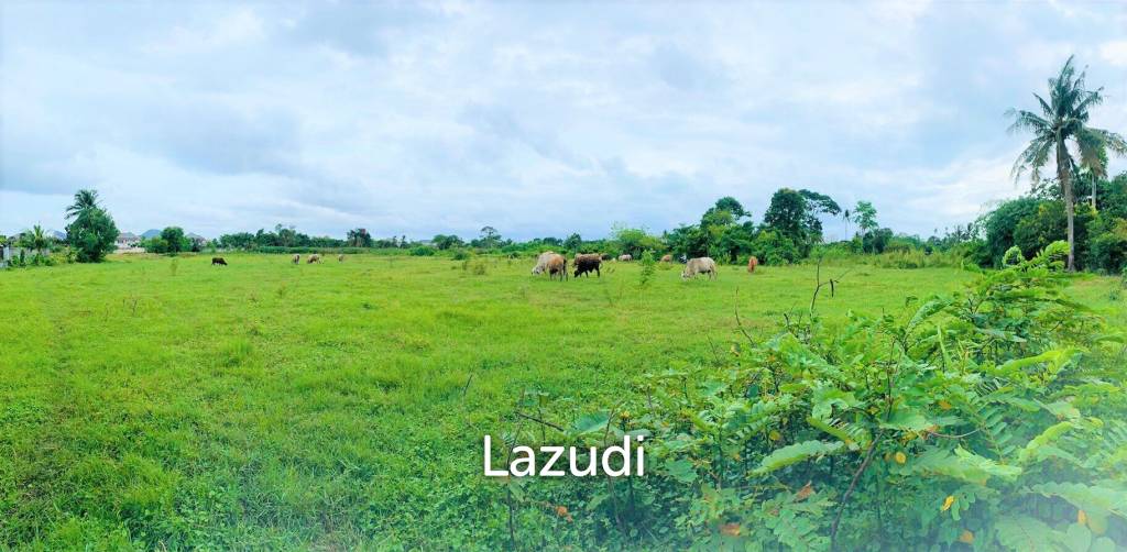 18108m² Commercial property in Sattahip, Thailand No. 16049