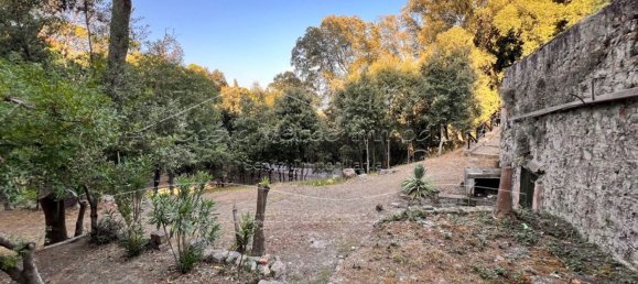 3-salle Appartement à Sardinia, Italy No. 246288 17