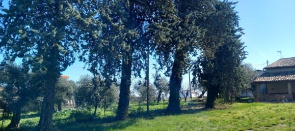 Villa de 8 habitaciónes en Ari, Italy No. 202075 12