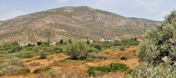 23688m² Hotel in Kalyvia Thorikou, Greece No. 7624 3