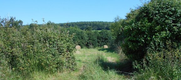 3 Schlafzimmer Gewerbliche Immobilie in Saint-Calais-du-Desert, France, Nr. 1835 10