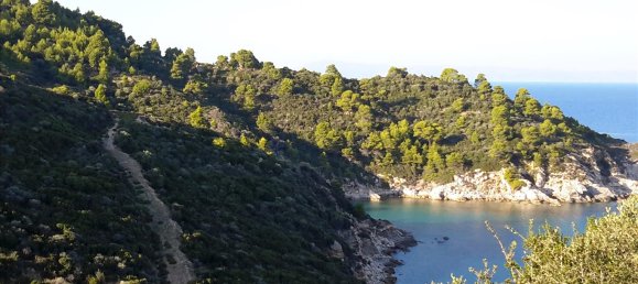 12000m² Hotel in Chalkidiki, Greece No. 6695 3