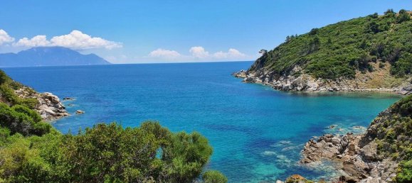 12000m² Hotel in Chalkidiki, Greece No. 6695 10