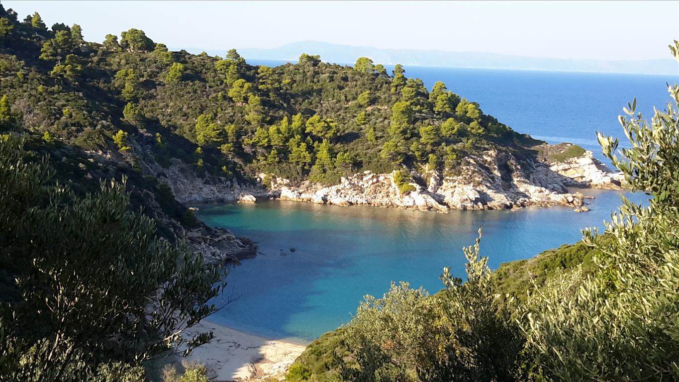 12000m² Hotel in Chalkidiki, Greece No. 6695