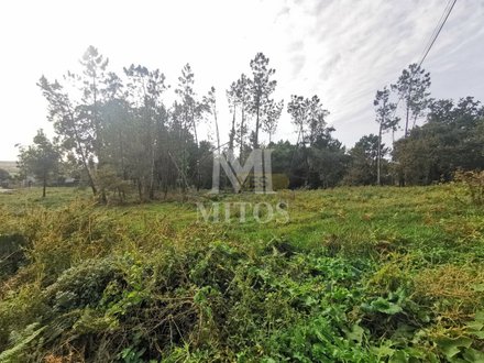 4970m² Land in Anha, Portugal No. 76385