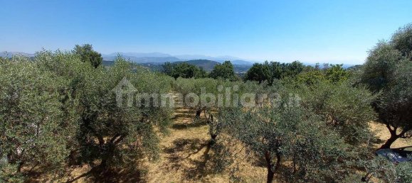 4 bedrooms Villa in Morolo, Italy No. 86673 6