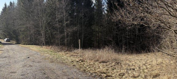  قطعة أرض في Spital am Semmering, Austria رقم 46390 2