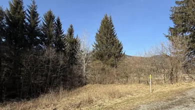  قطعة أرض في Spital am Semmering, Austria رقم 46390