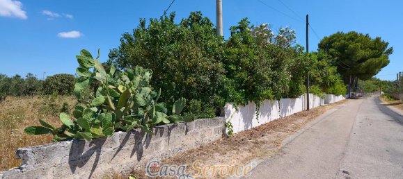 4-Zimmer Villa in Galatone, Italy, Nr. 238269 31