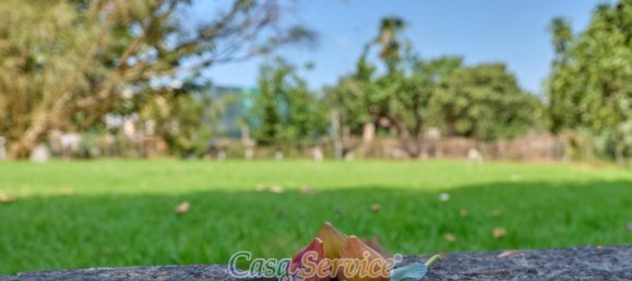 4-Zimmer Villa in Galatone, Italy, Nr. 238269 26