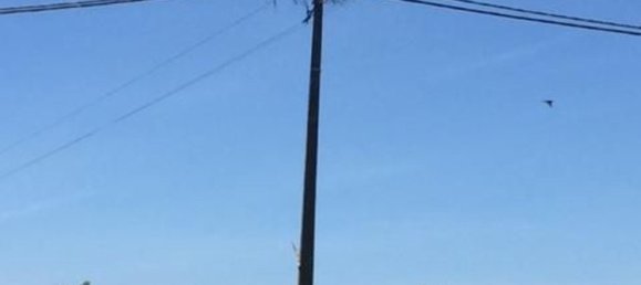 Grundstück in Sao Cristovao, Portugal 5000m², Nr. 91671 12