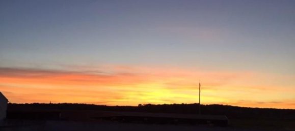 Grundstück in Sao Cristovao, Portugal 5000m², Nr. 91671 25