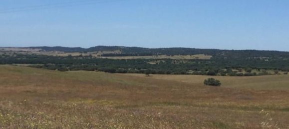 Grundstück in Sao Cristovao, Portugal 5000m², Nr. 91671 2