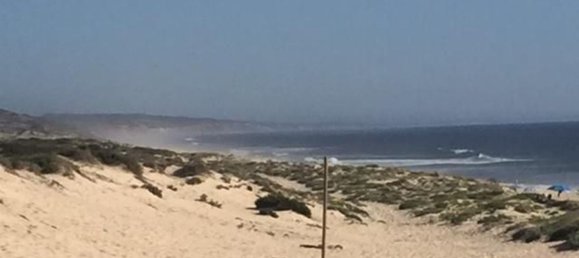 Grundstück in Sao Cristovao, Portugal 5000m², Nr. 91671 21