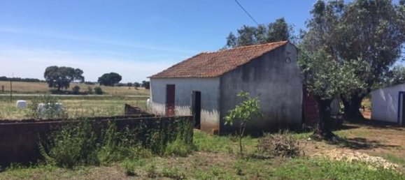 Grundstück in Sao Cristovao, Portugal 5000m², Nr. 91671 27