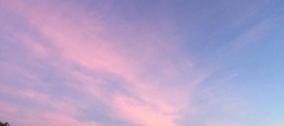 Grundstück in Sao Cristovao, Portugal 5000m², Nr. 91671 24