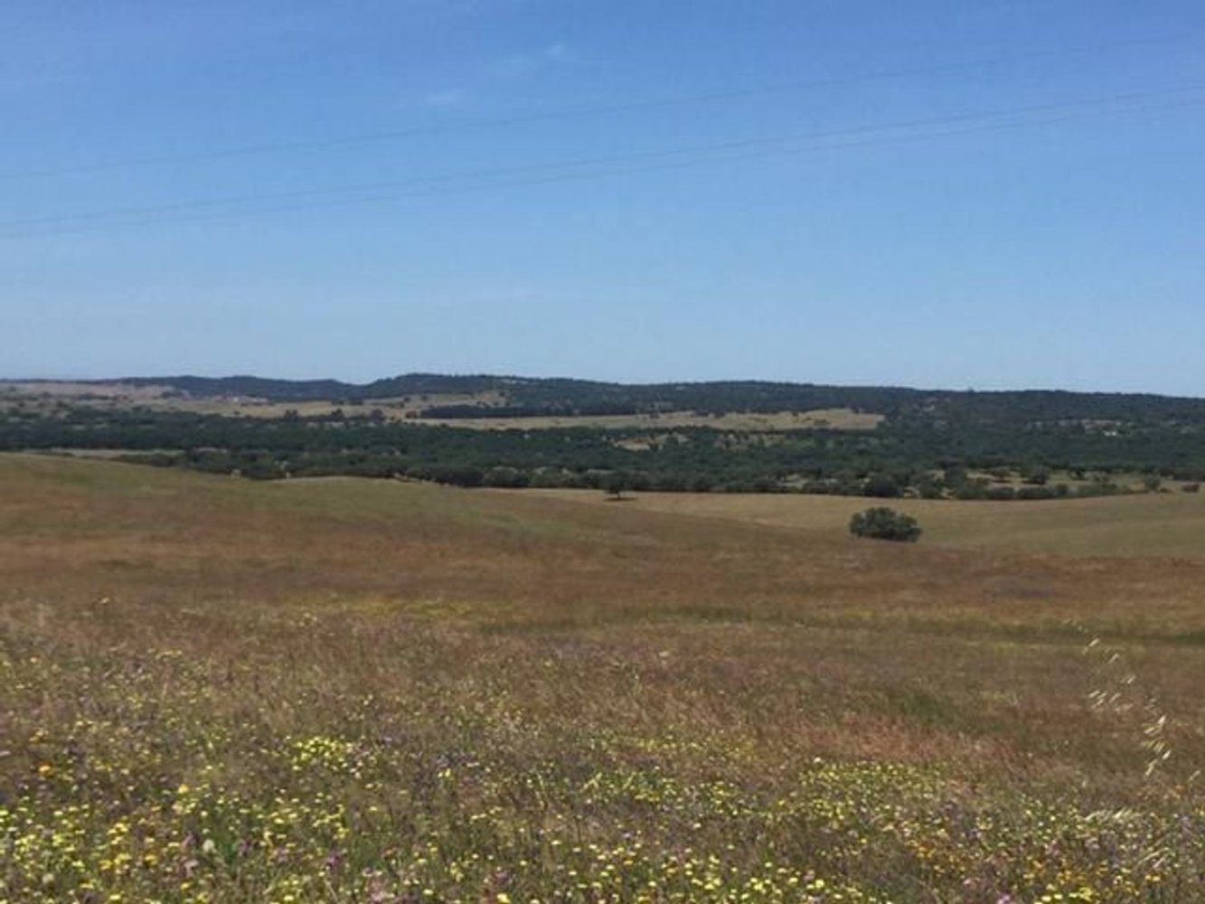 Grundstück in Sao Cristovao, Portugal 5000m², Nr. 91671