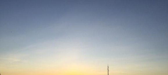 Grundstück in Sao Cristovao, Portugal 5000m², Nr. 91671 22