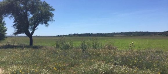 Grundstück in Sao Cristovao, Portugal 5000m², Nr. 91671 17