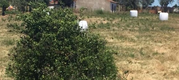 Grundstück in Sao Cristovao, Portugal 5000m², Nr. 91671 29