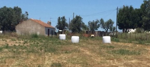 Grundstück in Sao Cristovao, Portugal 5000m², Nr. 91671 30