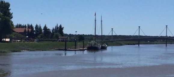 Grundstück in Sao Cristovao, Portugal 5000m², Nr. 91671 16