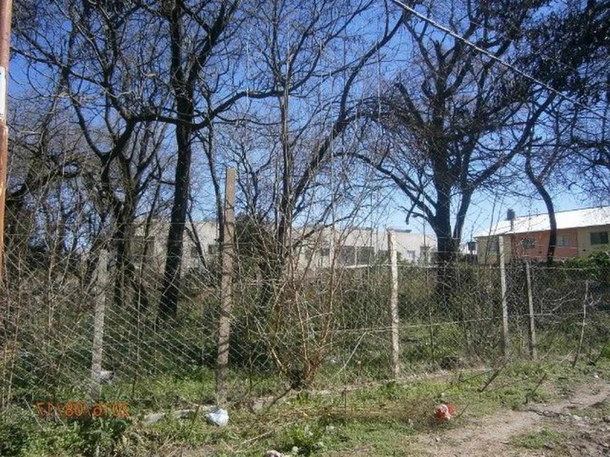 Terrain à San Miguel, Argentina No. 43100