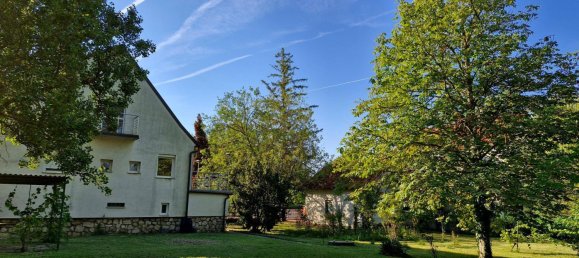 5-Zimmer Haus in Podersdorf am See, Austria, Nr. 194923 3