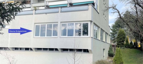 Коммерческая недвижимость с 3 спальнями в Восточный Альб, Германия № 45641 11