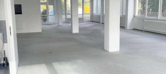 Коммерческая недвижимость с 3 спальнями в Восточный Альб, Германия № 45641 20