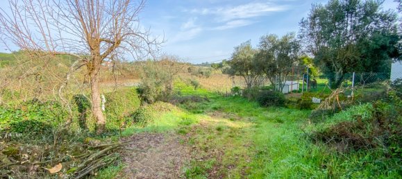 Terreno en Mangualde, Portugal No. 89632 13