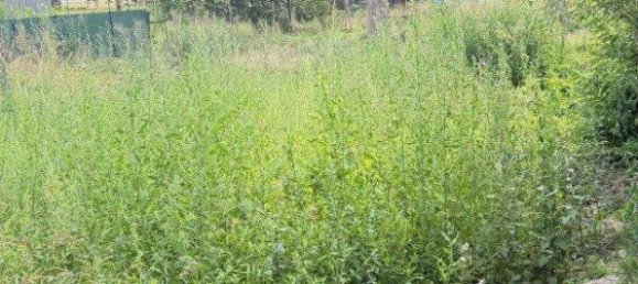 Terreno em Vienna, Austria N.º 154205 7