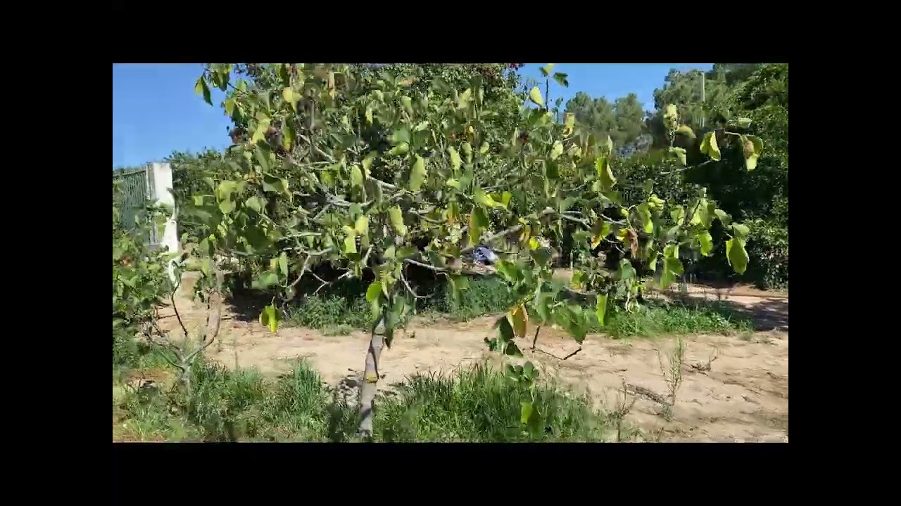  Land in Pinhal Novo, Portugal No. 287181