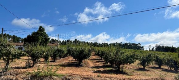 Terreno em Torres Vedras, Portugal 1000 m² N.º 299147 7